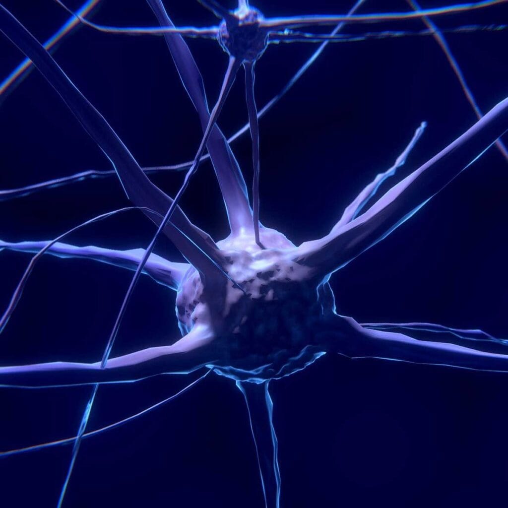 Los neurotransmisores son los mensajeros químicos de nuestro cerebro.