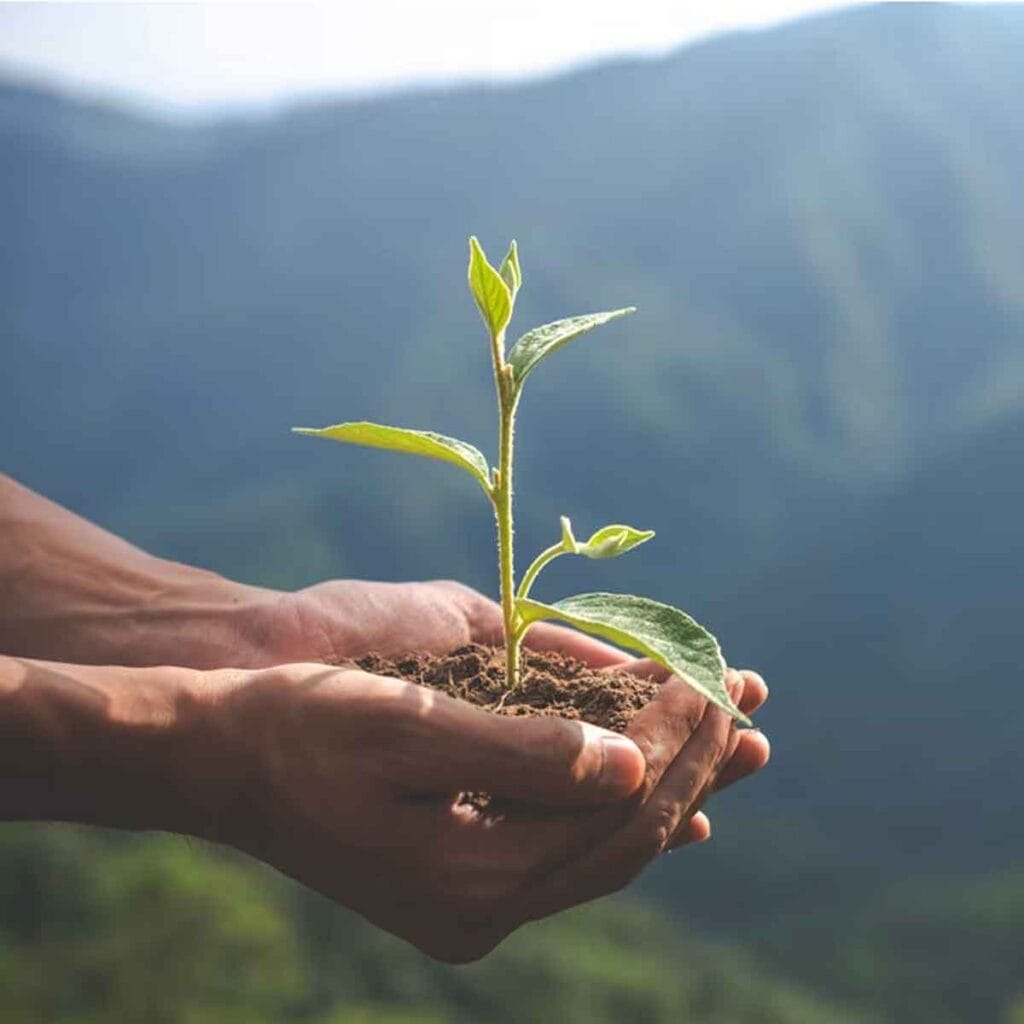 Hábitos para ser feliz en el día a día.