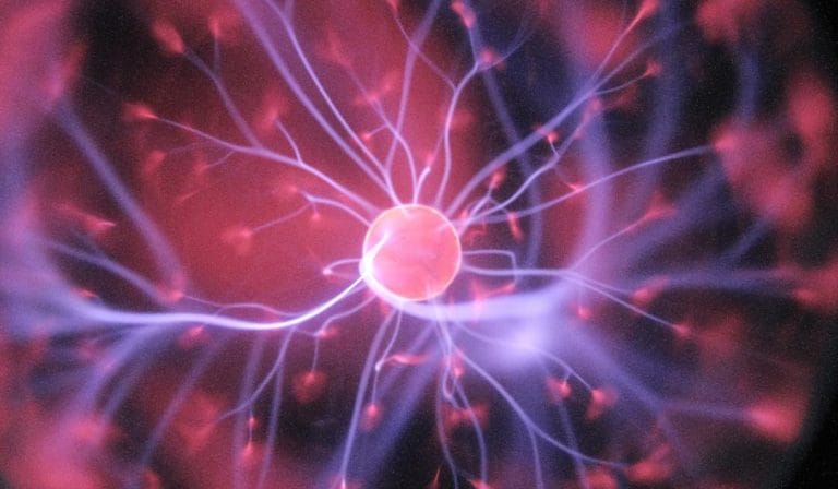 Hidden Brain Waste Removal System Discovered