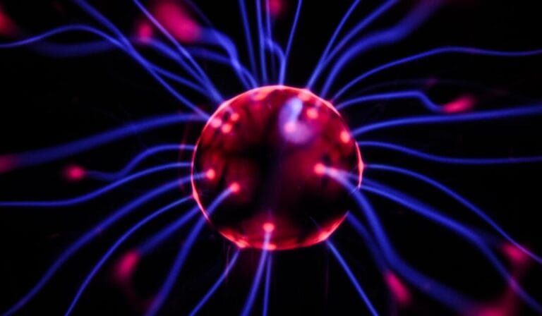 AI Identifies Brain Cell Types with 95% Accuracy