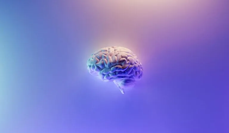 AI Identifies Brain Cell Types with High Precision