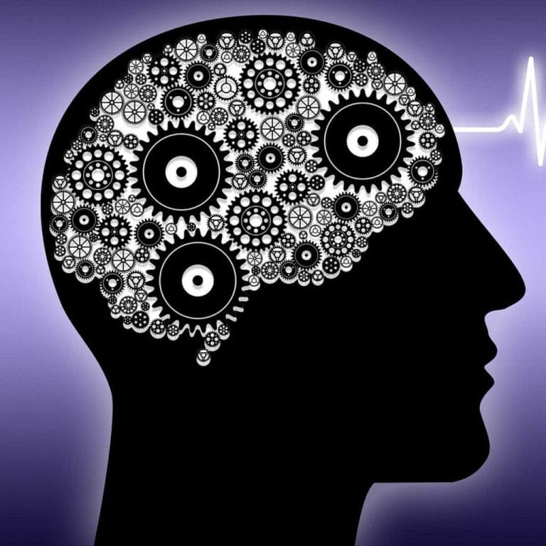 Main currents and branches of psychology like Psychoanalysis, Behaviorism or humanism